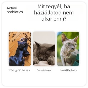 VEGAMAX Kutyák Probiotikus Kiegészítője – Testsúlynöveléshez, GI egészséghez és válogatós evőknek