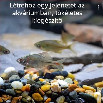 Naichong márkájú akváriumi aljzat tájépítéshez — Származás Shandong, 20 kg/csomag, nem importált