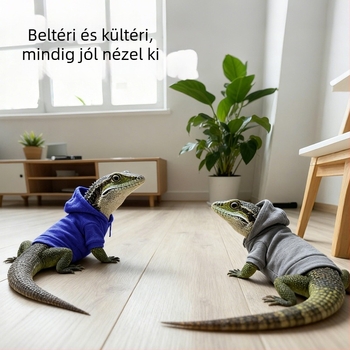 Gyík háziállat kapucnis póló, átalakítható kisállat öltözet, poliészter, Heart Flow, testreszabható