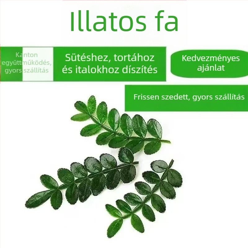 Sütemények díszítésére ehető levelek — illatos fa növény a cserépben, Pepper Wood, termékkód 33699