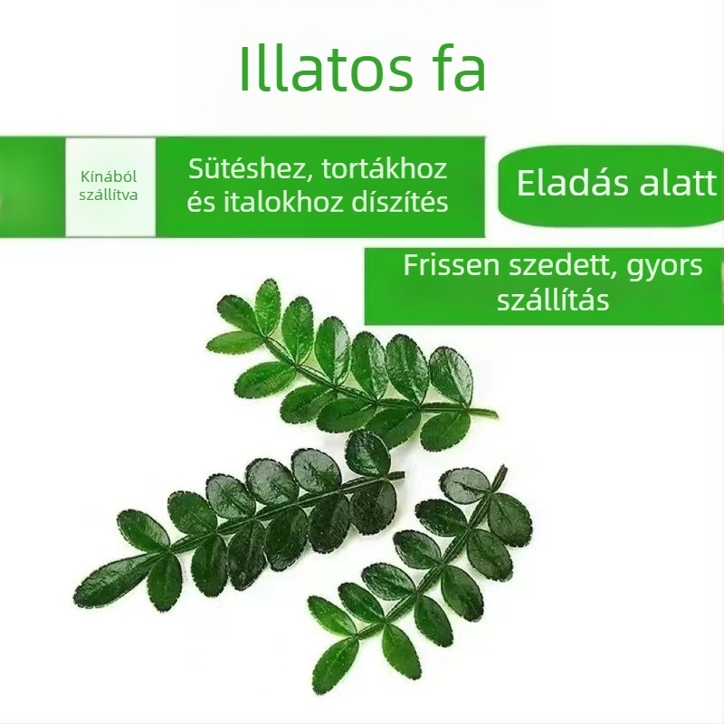 Sütemények díszítésére ehető levelek — illatos fa növény a cserépben, Pepper Wood, termékkód 33699