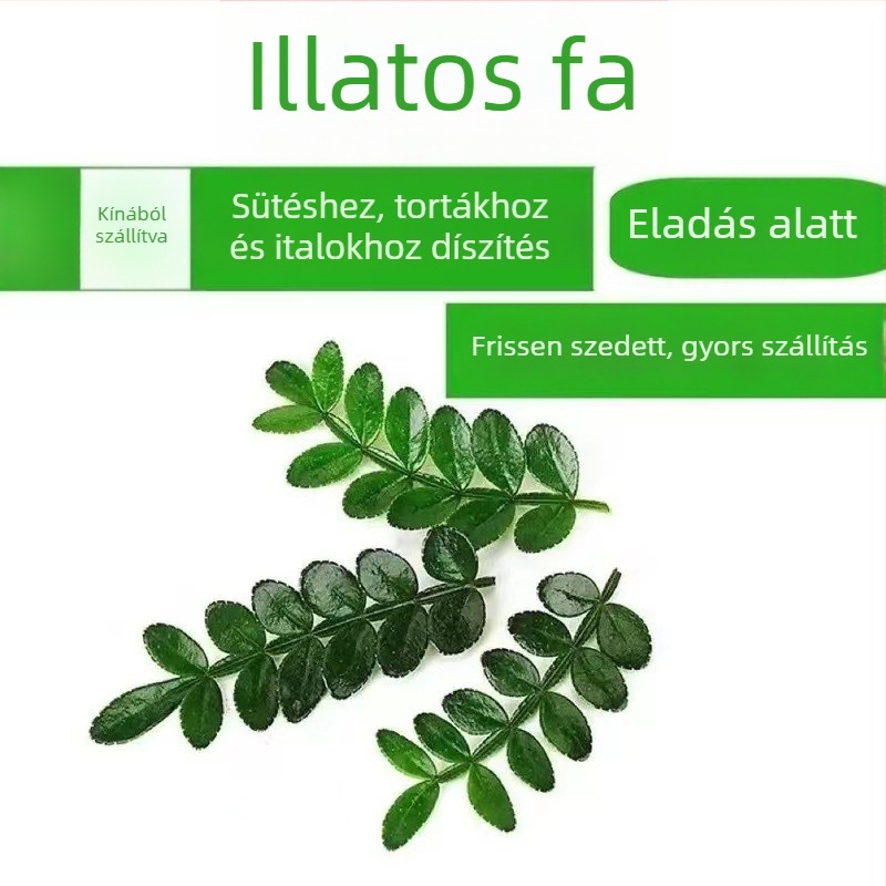 Sütemények díszítésére ehető levelek — illatos fa növény a cserépben, Pepper Wood, termékkód 33699