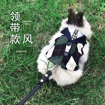 Nyuszi hám és póráz — Carrot Valley, Eredet Anhui, Nem importált, Nyuszik számára