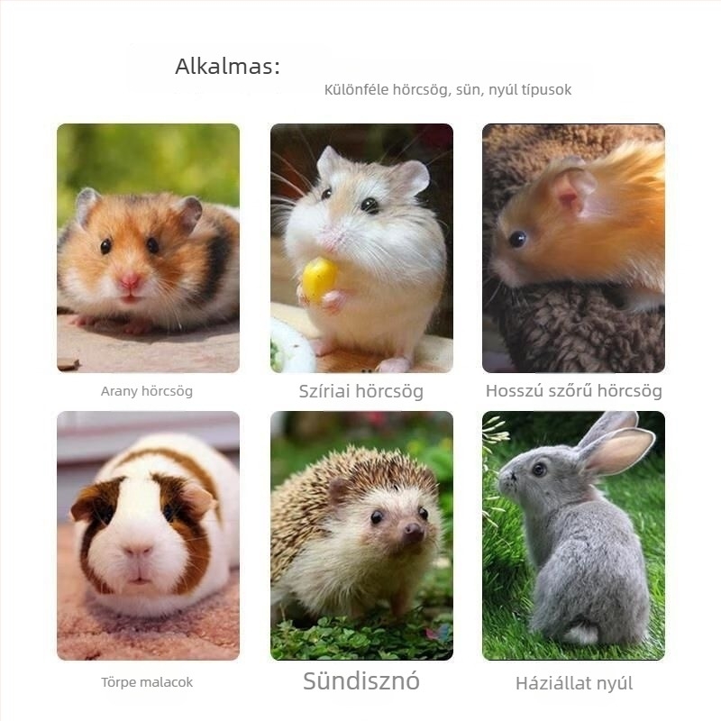 Hamster toalett aljzat dezodoráló, pormentes, univerzális, márka Biyi Qi, környezetbarát dezodorálás