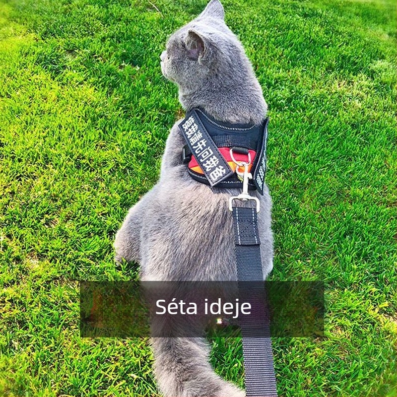 Macska póráz anti-szakadás mellény-stílusú hám, poliészter, egész éves használatra