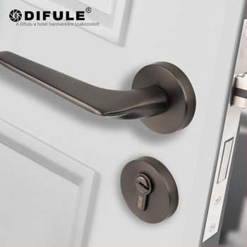 Beltéri ajtózár fogantyúval — cink-ötvözet, modell DFL-1001, Ding Fu Le, fa- és rozsdamentes acél ajtókhoz, modern minimalista stílus