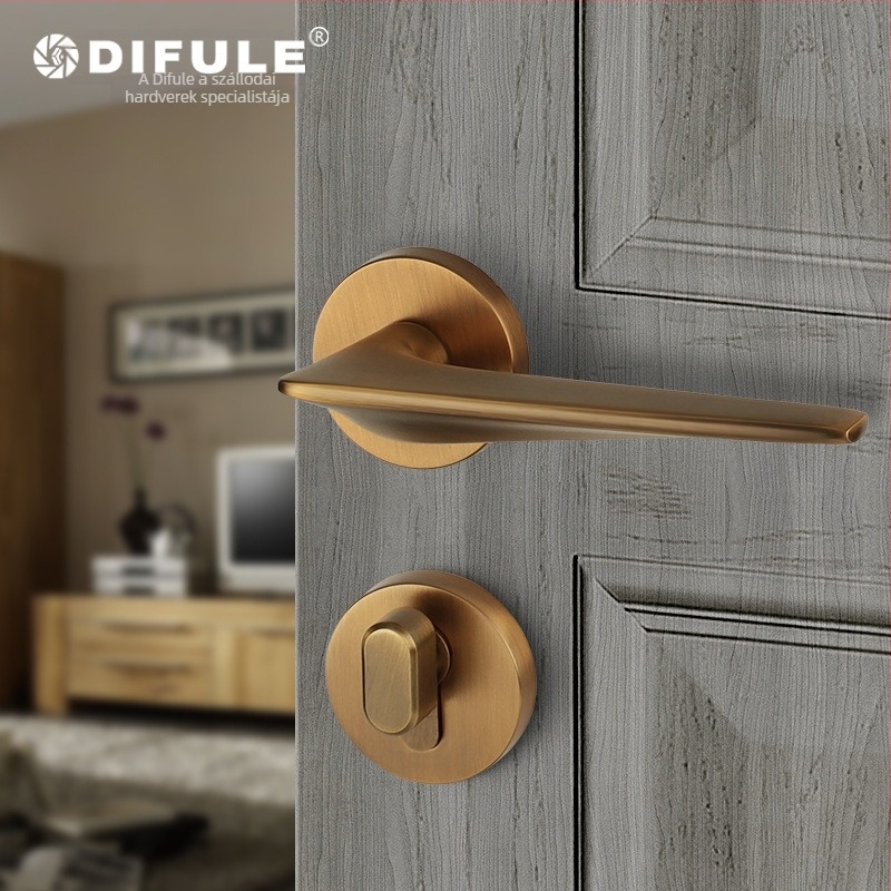 Beltéri ajtózár fogantyúval — cink-ötvözet, modell DFL-1001, Ding Fu Le, fa- és rozsdamentes acél ajtókhoz, modern minimalista stílus