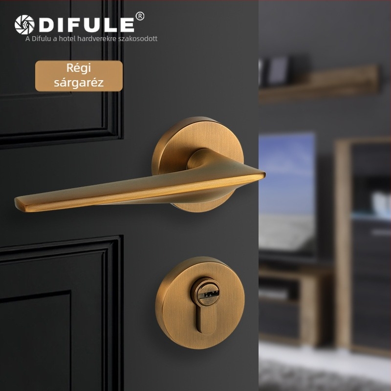 Beltéri ajtózár fogantyúval — cink-ötvözet, modell DFL-1001, Ding Fu Le, fa- és rozsdamentes acél ajtókhoz, modern minimalista stílus