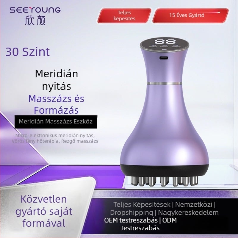 SEEYOUNG XY-M04 Elektromos meridián terápiás scraping eszköz fűtéssel, USB tápellátással, gombos vezérléssel