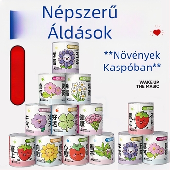 Rejtélyes dobozban ültethető mini növények: eper, gypsophila, morning glory; ideális iskolai ajándéknak vagy diák jutalomnak