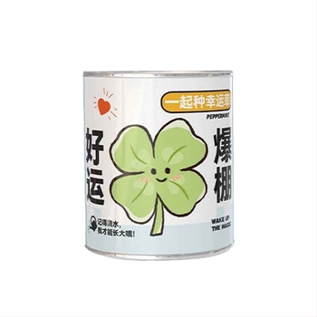 Rejtélyes dobozban ültethető mini növények: eper, gypsophila, morning glory; ideális iskolai ajándéknak vagy diák jutalomnak