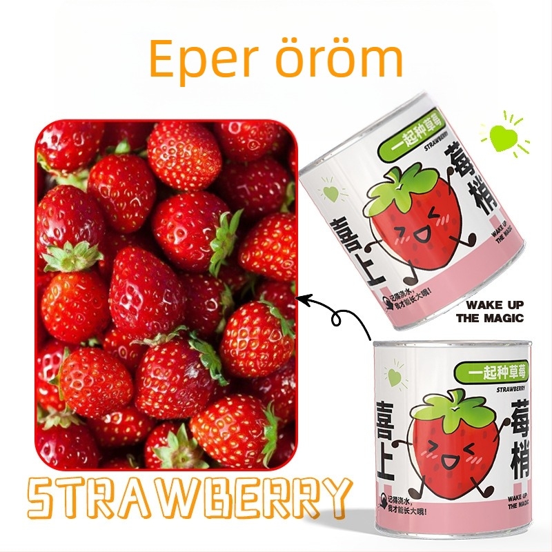 Rejtélyes dobozban ültethető mini növények: eper, gypsophila, morning glory; ideális iskolai ajándéknak vagy diák jutalomnak