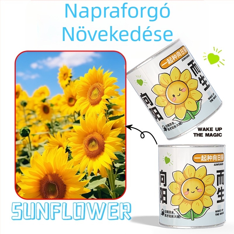 Rejtélyes dobozban ültethető mini növények: eper, gypsophila, morning glory; ideális iskolai ajándéknak vagy diák jutalomnak