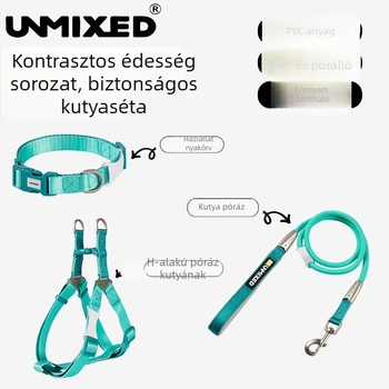 Kutyahám és póráz készlet — poliészter, UNMIXED, 24 db