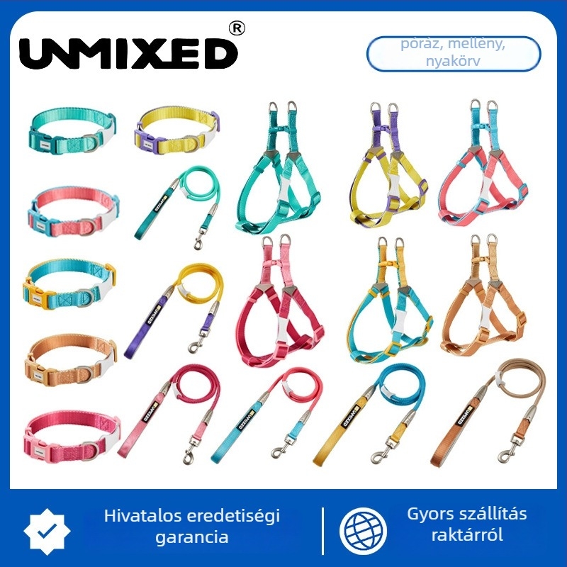 Kutyahám és póráz készlet — poliészter, UNMIXED, 24 db