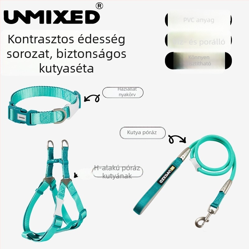 Kutyahám és póráz készlet — poliészter, UNMIXED, 24 db