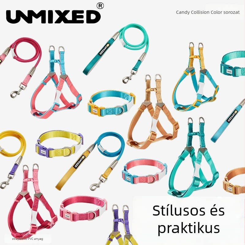 Kutyahám és póráz készlet — poliészter, UNMIXED, 24 db