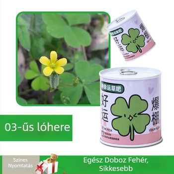 Asztali növény ajándékdobozban napraforgó keverékkel — könnyen nevelhető magok, fajták: napraforgó, eper, paradicsom, lóhere; 15°C felett fejlődik, semleges fény