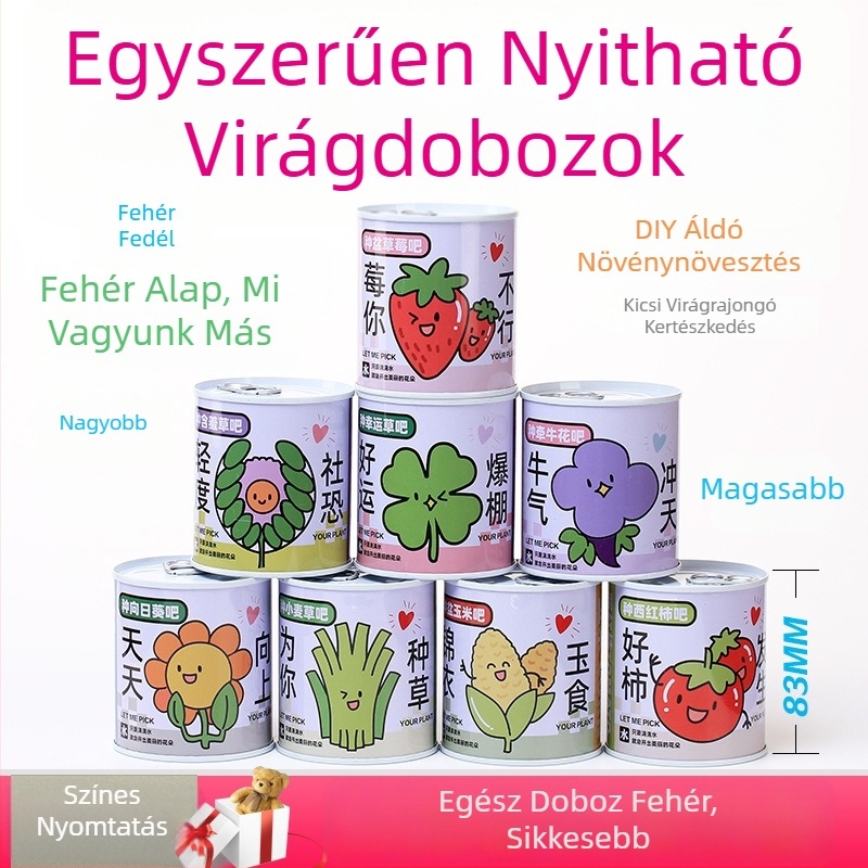Asztali növény ajándékdobozban napraforgó keverékkel — könnyen nevelhető magok, fajták: napraforgó, eper, paradicsom, lóhere; 15°C felett fejlődik, semleges fény