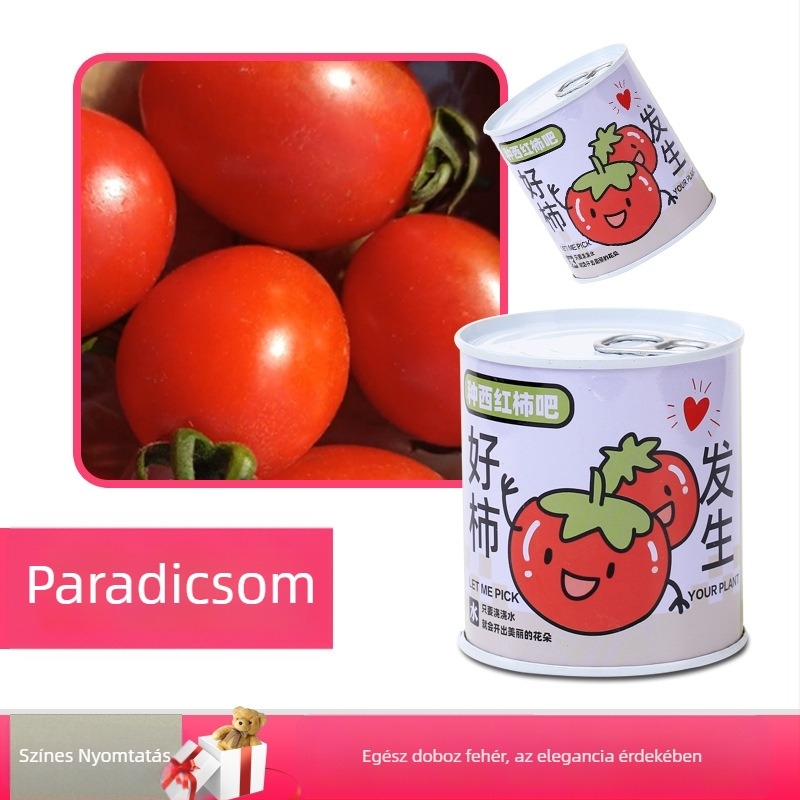 Asztali növény ajándékdobozban napraforgó keverékkel — könnyen nevelhető magok, fajták: napraforgó, eper, paradicsom, lóhere; 15°C felett fejlődik, semleges fény