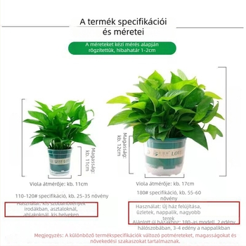 Epipremnum aureum cserepes növény belső levegőtisztításra, optimális hőmérséklet 1–30°C, semleges megvilágítás, modern minimalista stílus