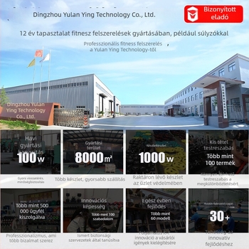 Kézben tartható boxzsúlyzó levegő ütéseihez (öntöttvas • 1 kg • FSY)