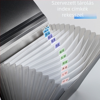 13 rekeszes akordion irattartó dokumentumokhoz, műanyag kivitel, nagy kapacitás, nyomtatott logó, testreszabható, licencelt privát márka