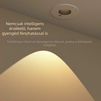 Simcnc mozgásérzékelős bejárati spotlámpa COB LED-del, alumínium ház, magas CRI 95%, 36V max, emberi testérzékelés