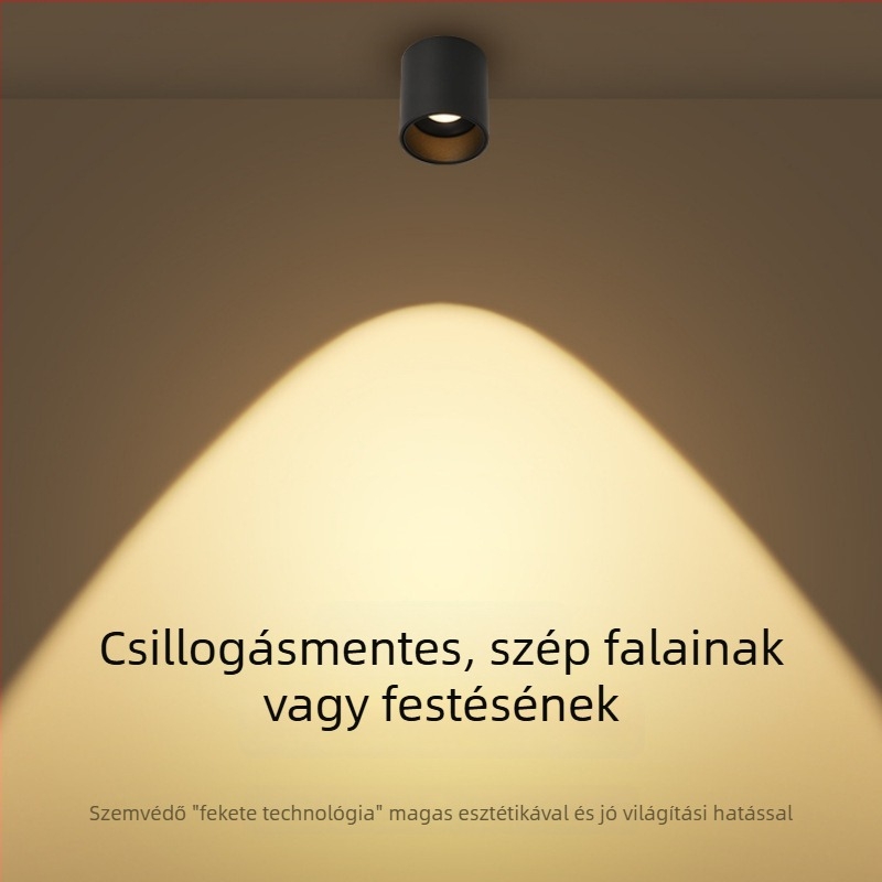 Felszíni LED downlight, 6-10W, 220V, CRI ≥90