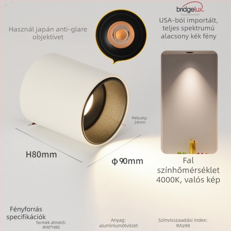 Felszíni LED downlight, 6-10W, 220V, CRI ≥90