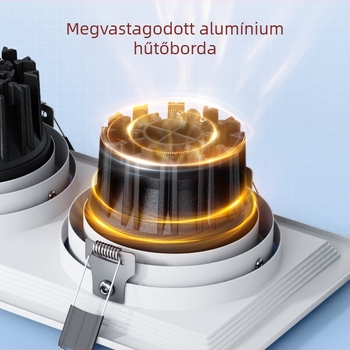 Téglalap alakú beépített LED rácsvilágítás kettős fejű downlighttal, alumínium ház, 220V, CRI ≥95, nem intelligens vezérlés