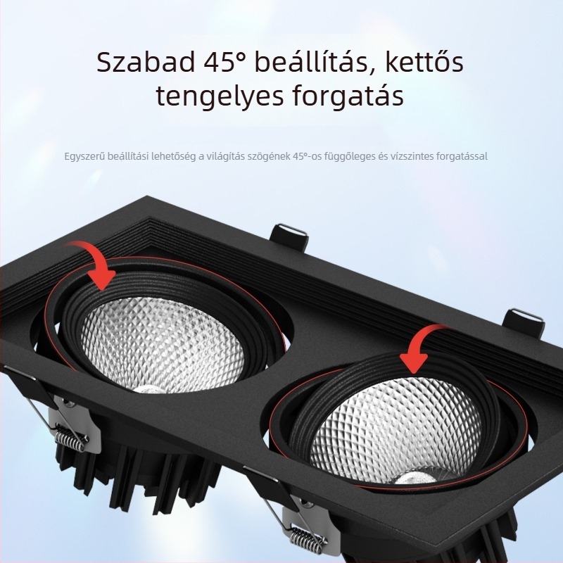 Téglalap alakú beépített LED rácsvilágítás kettős fejű downlighttal, alumínium ház, 220V, CRI ≥95, nem intelligens vezérlés