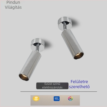 Felületre szerelt ezüstös spotlámpa antik stílussal, anti-glare retro állítható fej irányú alsó világítás, alumínium ház, 220V, LED, CRI≥95