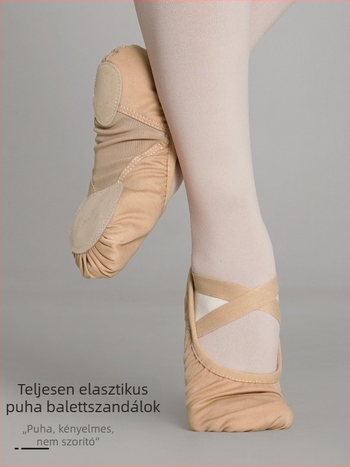 Tánccipő Lingyan – Elasztikus textil felső rész, Tehénbőr talp, Légáteresztő, Kopásálló, Ölelő tartás – Felnőtteknek, Uniszex, Táncmozgásokhoz