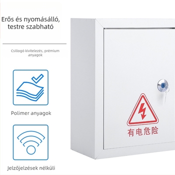 10 áramkörös villamos elosztó szekrény, 10 kapcsolóval, falra szerelhető, vas burkolatú, 100 A névleges áram