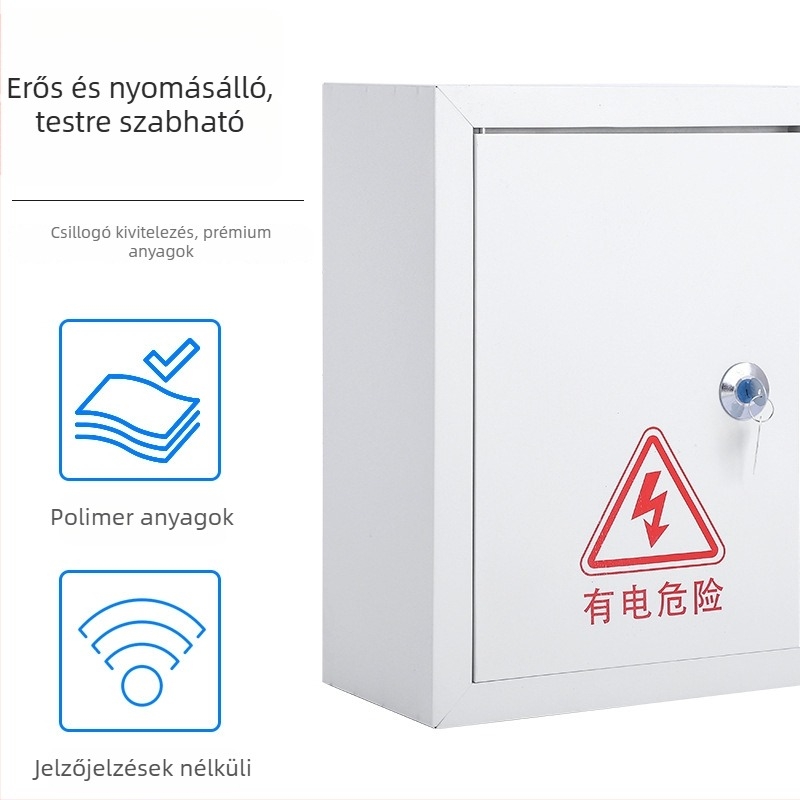 10 áramkörös villamos elosztó szekrény, 10 kapcsolóval, falra szerelhető, vas burkolatú, 100 A névleges áram