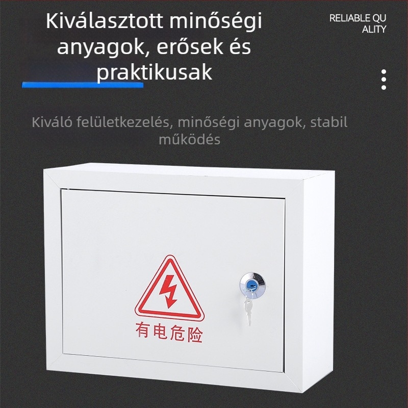 10 áramkörös villamos elosztó szekrény, 10 kapcsolóval, falra szerelhető, vas burkolatú, 100 A névleges áram