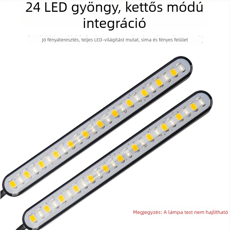 LED két színű, folyó víz effektus irányjelző és rendszámtábla világítás elektromos motorkerékpárokhoz – motor269 modell, 12V