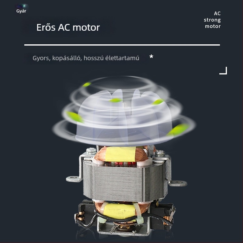 Otthoni hajszárító - 1700W kefés AC motor, negatív ionok és állandó hőmérsékletű hajápolás, hideg/meleg levegő, 220V