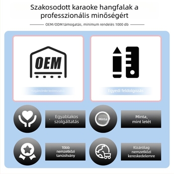 Bluetooth karaoke hangszóró két vezeték nélküli mikrofonnal – hordozható otthoni és kültéri hangrendszer