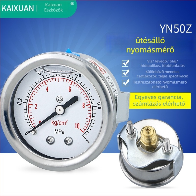 Szeizmikus nyomásmérő YN50Z-axilis, panelre szerelhető klipsz-típusú kiegészítővel; axiális menetes csatlakozás; mérési tartomány 0-60 és -0,1-2,4; pontossági osztály 2,5