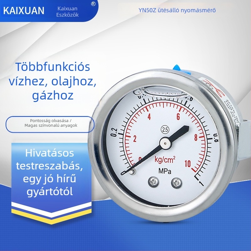 Szeizmikus nyomásmérő YN50Z-axilis, panelre szerelhető klipsz-típusú kiegészítővel; axiális menetes csatlakozás; mérési tartomány 0-60 és -0,1-2,4; pontossági osztály 2,5