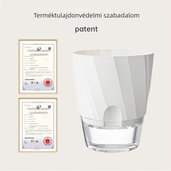 Önitató virágtartó átlátszó műanyagból, korrózióálló és tartós; asztalra vagy álló helyzetben használható, skandináv minimalist dizájn, injekciós formázással készült.
