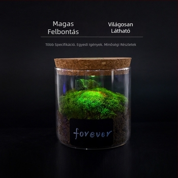 Boroszilikát üveg lámpás tárolóedény karkötők számára, világítással, parafa fedél, karkötő kiállítására, porvédett