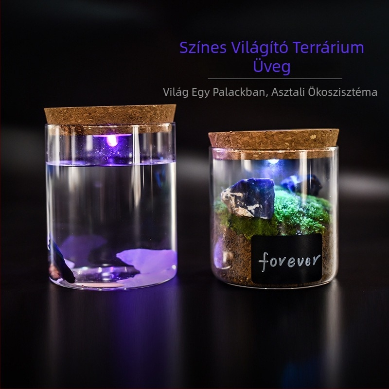 Boroszilikát üveg lámpás tárolóedény karkötők számára, világítással, parafa fedél, karkötő kiállítására, porvédett