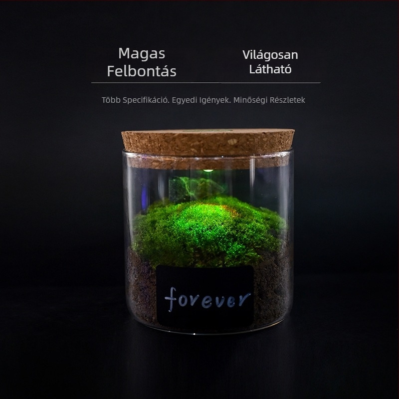 Boroszilikát üveg lámpás tárolóedény karkötők számára, világítással, parafa fedél, karkötő kiállítására, porvédett