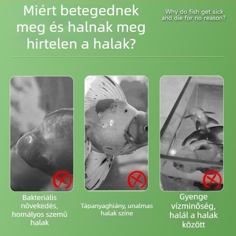 Sterilizáló só akvarisokhoz és koi tavakhoz — Anyag: Só; Tömeg: 10 kg; Kategória: Akváriumi felszerelés