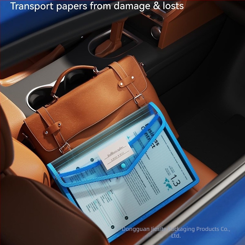 Plic transparent din plastic cu închidere snap, fără compartiment, capacitate mare (Plastic; Transparent; Închidere snap; Fără compartiment; Capacitate mare)