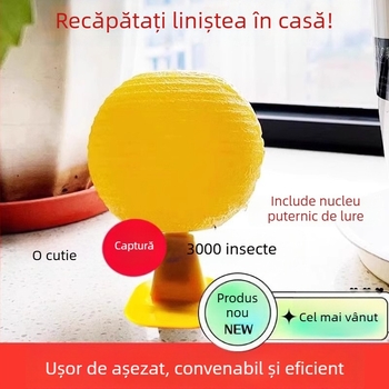 Capcană pentru muște de fructe în interior — material PP, design simplu, non-toxic, fără parfum