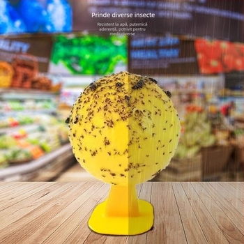 Capcană pentru muște de fructe în interior — material PP, design simplu, non-toxic, fără parfum